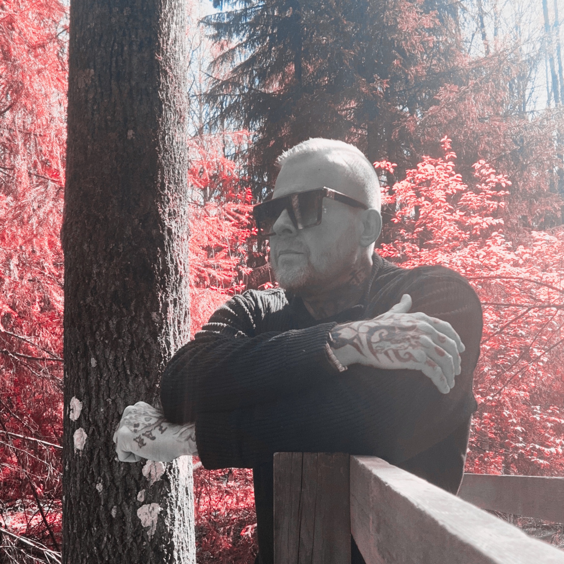 Tomi Perrakoski — composer of Yautja Dominion, portrait in forest